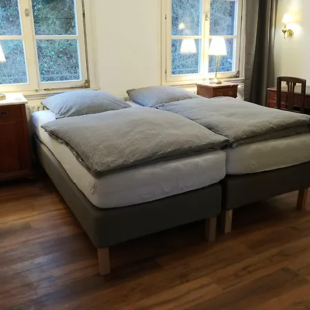 Haus Stehlings 3* מונשאו